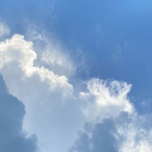 Meet your Posher, Honey